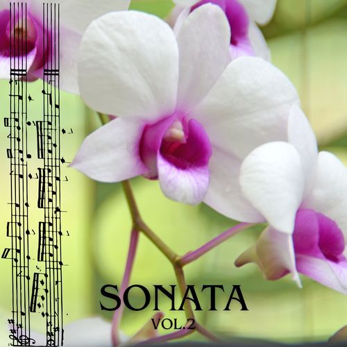 Sonata vol.2 (Remastered 2017)_poster_image