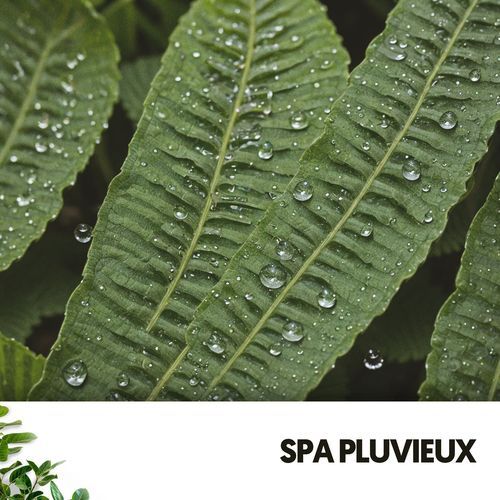 Spa Pluvieux : Revitalisation par les Gouttes de Pluie_poster_image