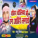 Tohar choliya me rang ahire lagai (Bhojpuri)