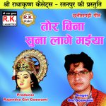 Tor Bina Suna Lage Maiya (Chhattisgarhi Jas Geet)