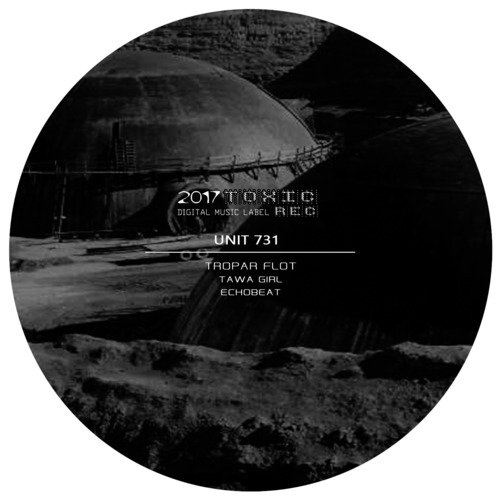 Unit 731 cover art