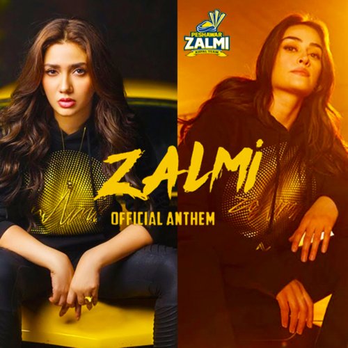 Zalmi Kingdom_poster_image