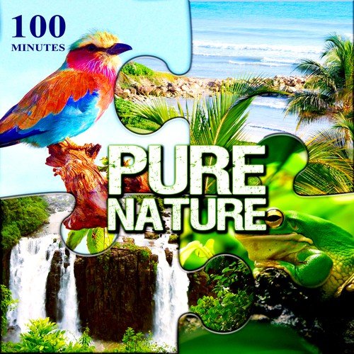 100 Minutes Pure Nature – Relax in Exotic Paradise with Bubbling Brook, Ocean Waves, Birds, Crickets, Frog, Waterfalls, Rain, Wind