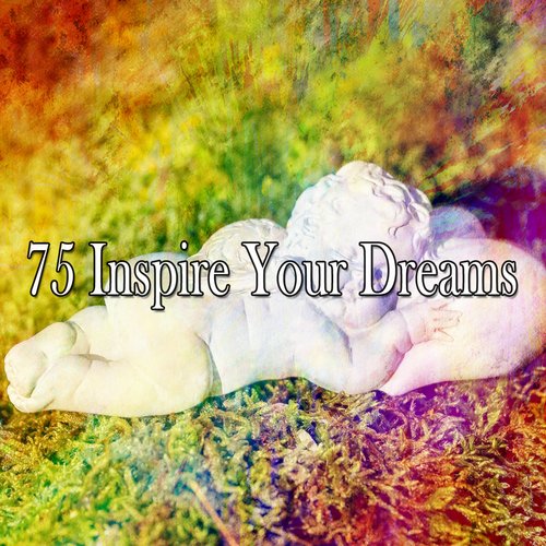 75 Inspire Your Dreams_poster_image