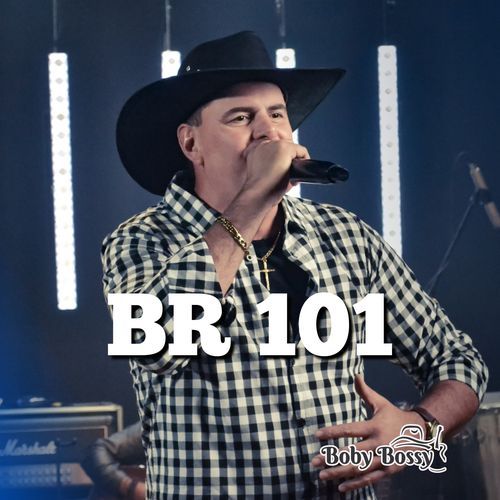 BR 101