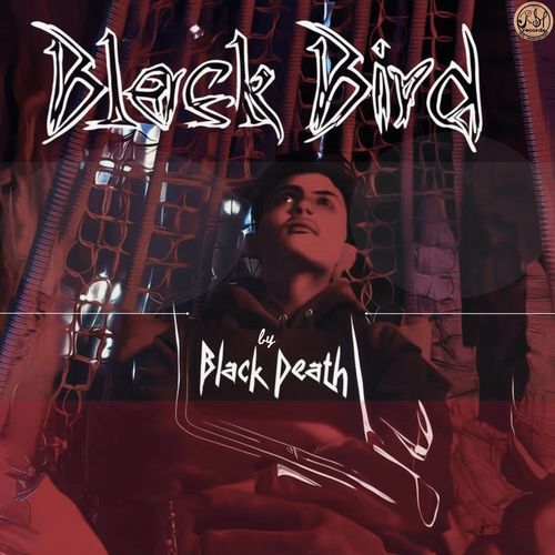 Black Bird