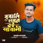 Bujhli Nare Tui Pashani