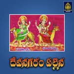 Devanagaram Pallane (Sammakka Sarakka Jatara)