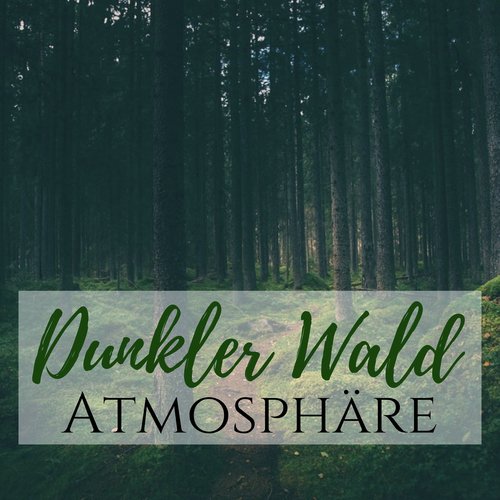 Dunkler Wald Atmosphäre - Ambient Avant Gard Lieder zum Entspannen und Chillen