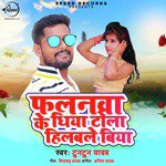 Falanwa Ke Dhiya Tolla Hilbale Biya - Single