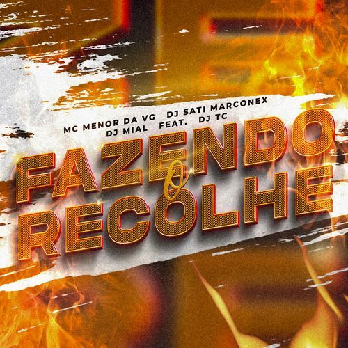 Fazendo o Recolhe (feat. Dj TC)_poster_image