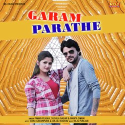 Garam Parathe-NSQ4AA5,Yls