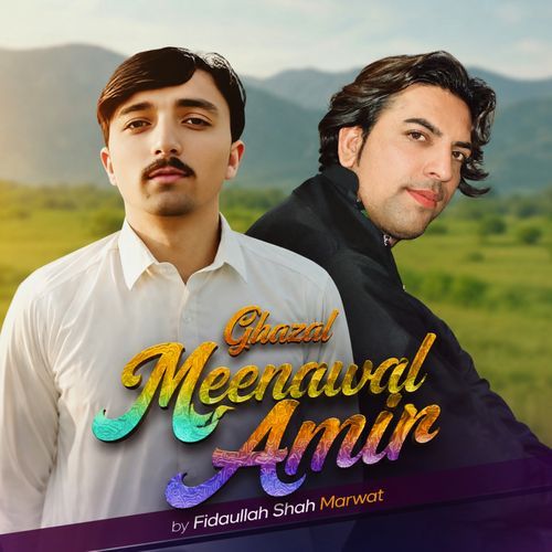 Ghazal Meenawal Amir