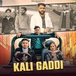 Kali Gaddi