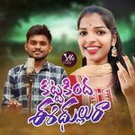 Kattakinda Eedhullura