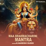 Maa Brahmacharini Mantra