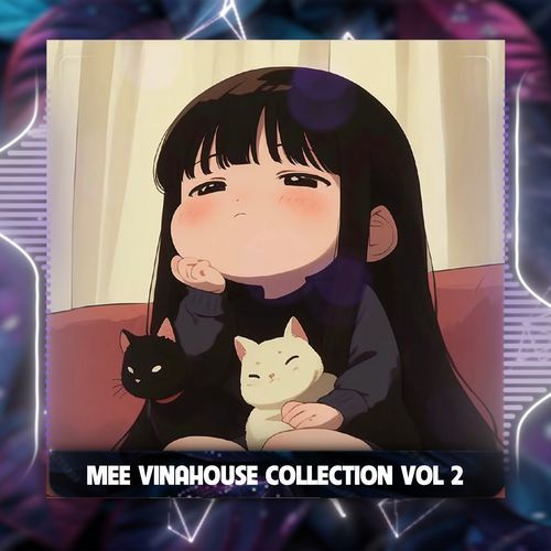 Đơn Côi (Remix Vinahouse) cover art