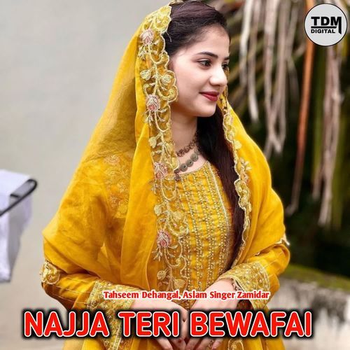 NAJJA TERI BEWAFAI