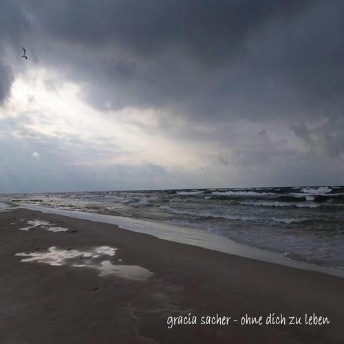 Ohne dich zu leben cover art