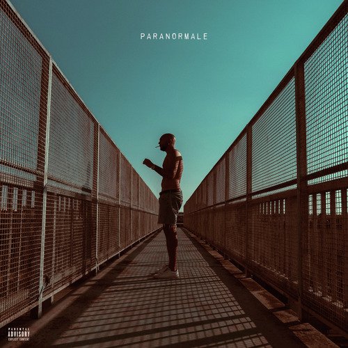 Paranormale cover art