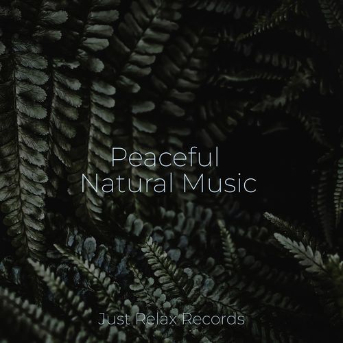 Peaceful Natural Music