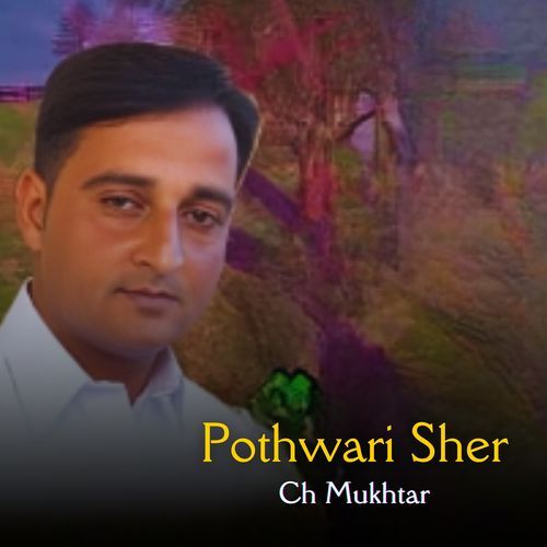 Pothwari Sher