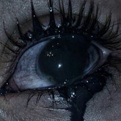 ориентация север