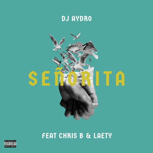 Señorita (feat. Chris B & Laety) cover art