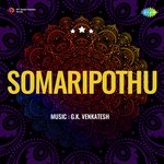 Somaripothu