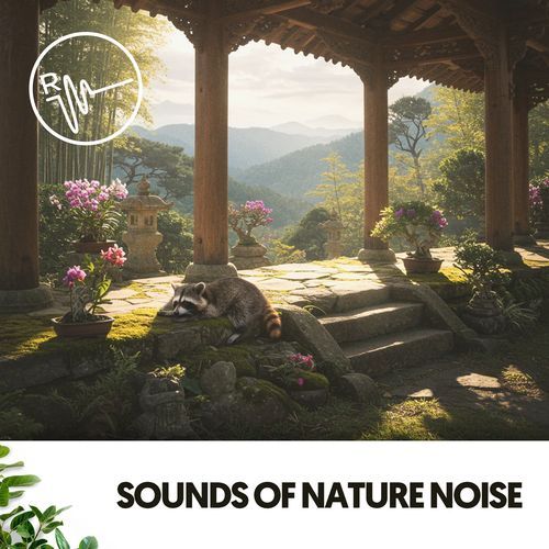Sounds of Nature Noise: A Symphony of Rain Serenity