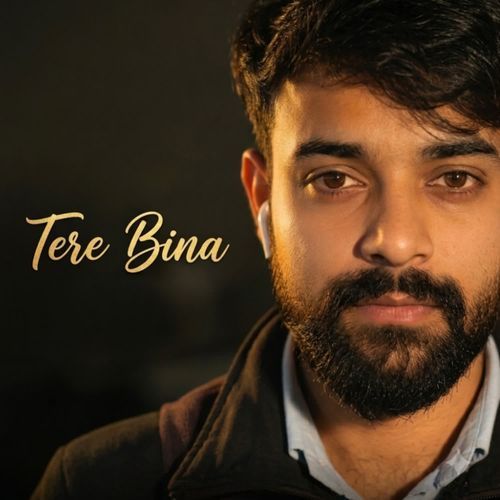 Tere Bina