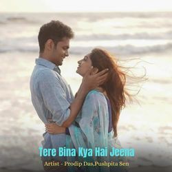 Tere Bina Kya Hai Jeena