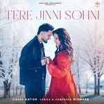 Tere Jinni Sohni
