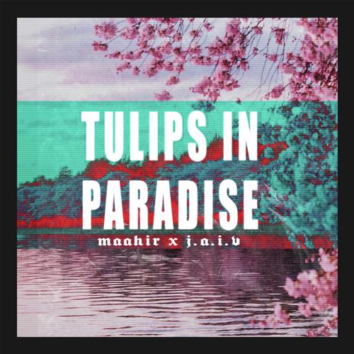 Tulips in paradise