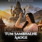 Tum Sambhalne Aaoge artwork