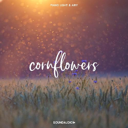 Сornflowers