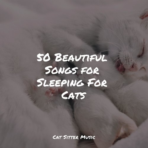 50 Beautiful Songs for Sleeping For Cats