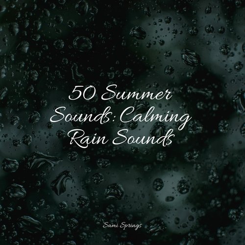 50 Summer Sounds: Calming Rain Sounds_poster_image