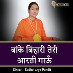 Banke Bihari Teri Aarti Gaun artwork
