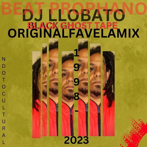 Video Vinil cover art