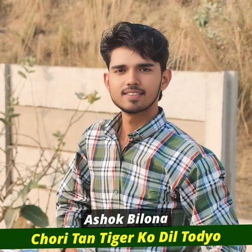 Chori Tan Tiger Ko Dil Todyo