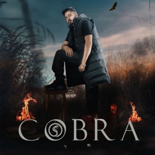 Cobra
