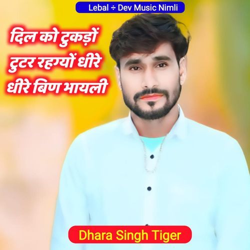 Dil Ko Tukdo Tutar Rahgyo Dhire Dhire Bin Bhayeli