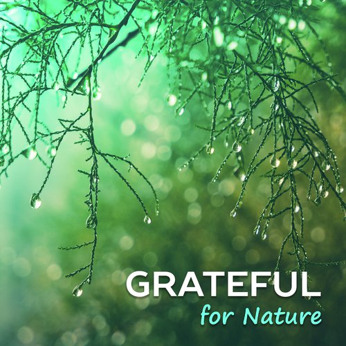 Grateful for Nature