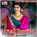 Ham Bani Beautiful