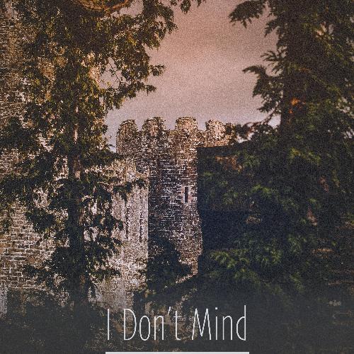 I Don&#039;t Mind_poster_image