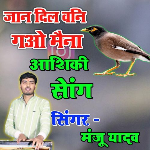 Jaan Dil Bni Gyo Maina