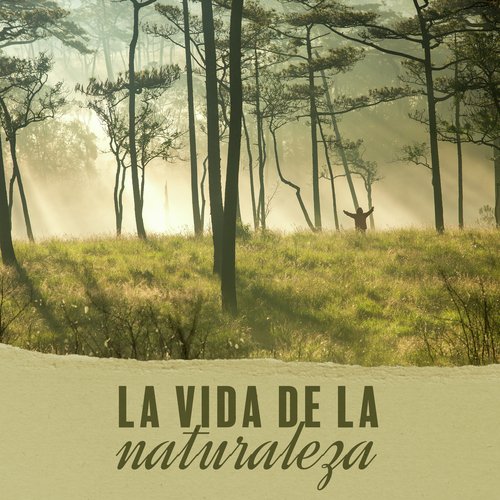 Grillos nocturnos cover art
