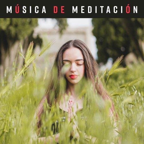 Sitar Music cover art