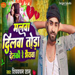 Malawa Dilwa Toda Delko Re Bhaiwa